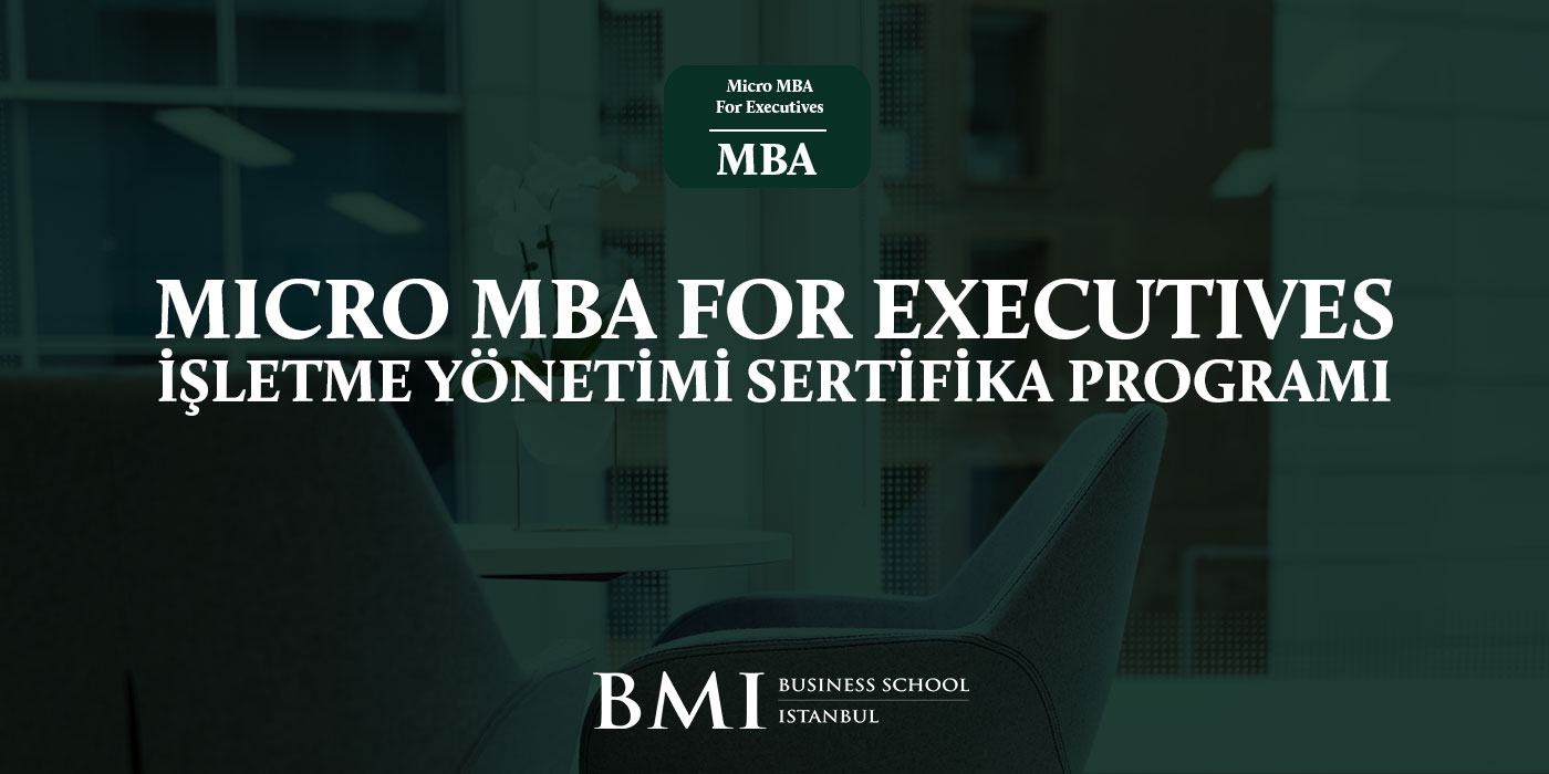 MBA Programı
