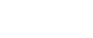 BMI Business School